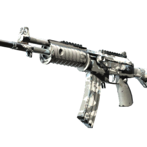 Galil AR | Winter Forest ( Field-Tested)