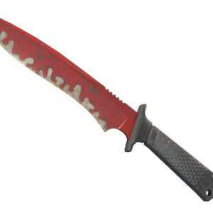 ★ Classic Knife | Crimson Web ( Well-Worn)