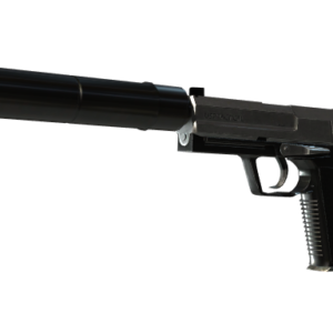 USP-S | Stainless ( Factory New)