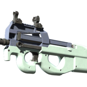 P90 | Storm ( Factory New)