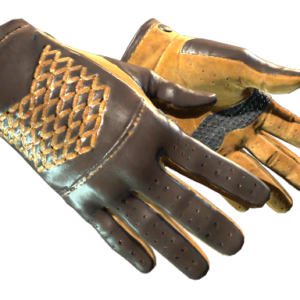 Driver Gloves | Overtake ( Minimal Wear)