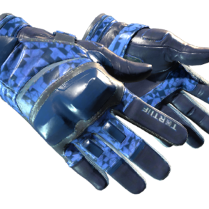 Moto Gloves | Polygon ( Factory New)