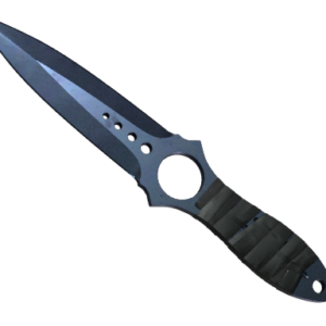 ★ Skeleton Knife | Blue Steel ( Battle-Scarred)