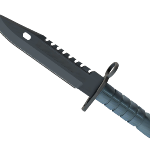 ★ M9 Bayonet | Night ( Minimal Wear)